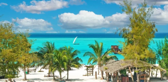 ZANZIBAR Entre filles sous les palmiers